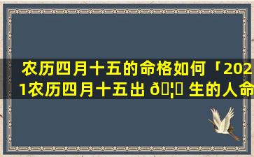 农历四月十五的命格如何「2021农历四月十五出 🦈 生的人命好吗,命运如何」